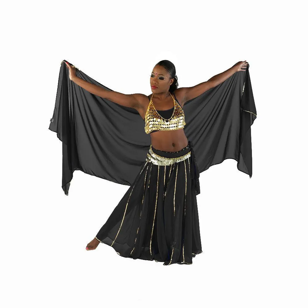 Belly Dance Skirt, Bra, Veil & Hip Scarf Costume Set | STARGAZER