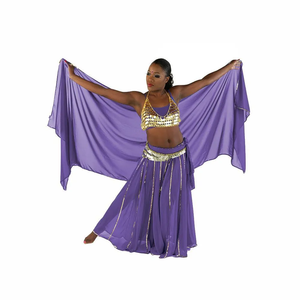 Belly Dance Skirt, Bra, Veil & Hip Scarf Costume Set | STARGAZER