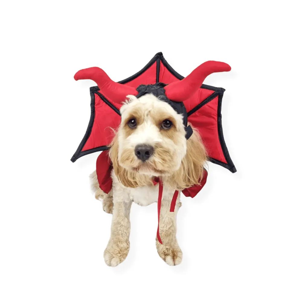 Devil Vampire Dog Costume