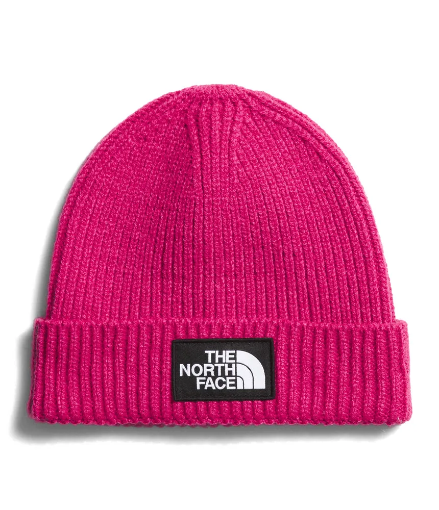 Kids TNF Box Logo Cuffed Beanie (NF0A7WGC)