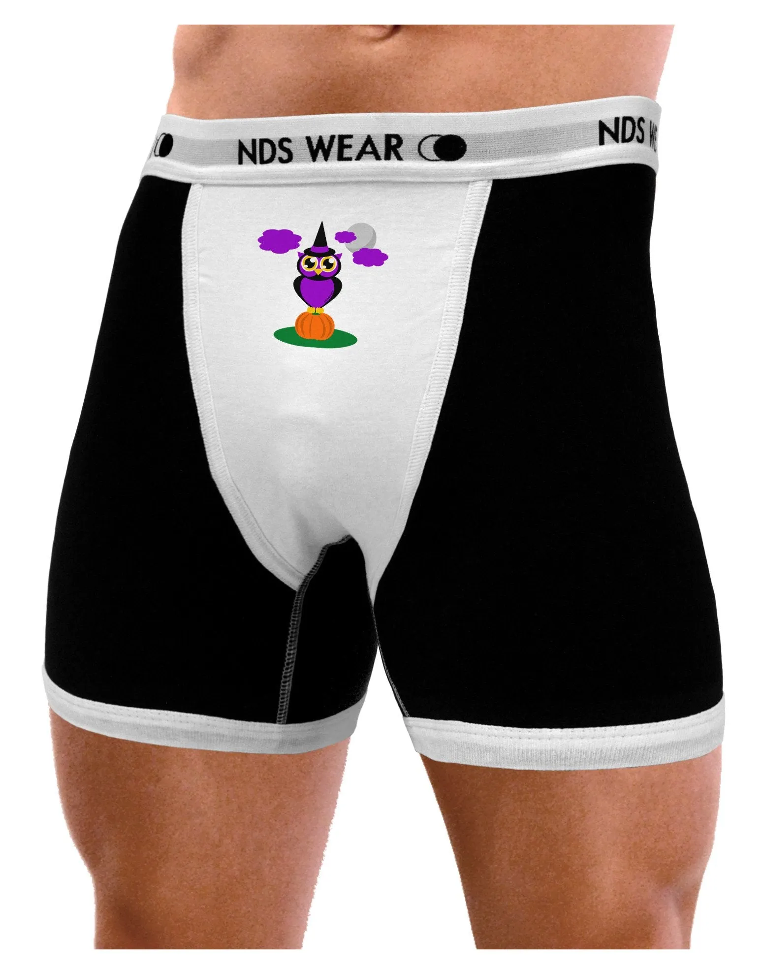 Owl Purple  Mens Boxer Brief Underwear