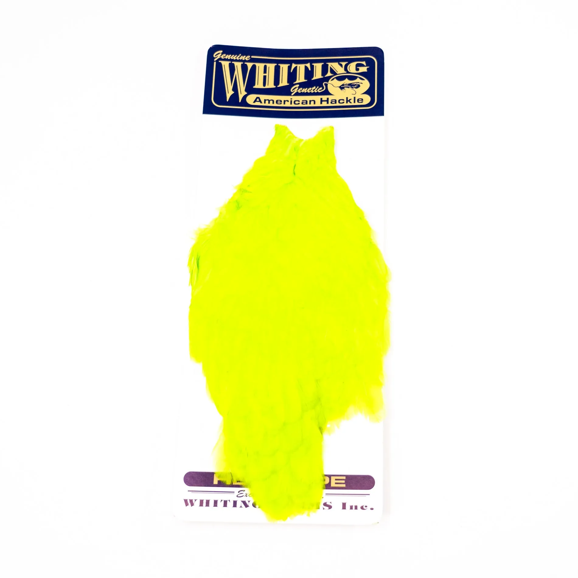 Whiting American Hen Cape