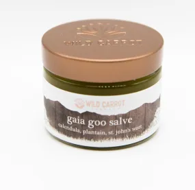 Wild Carrot Herbals Gaia Goo Salve 30 mL Cream